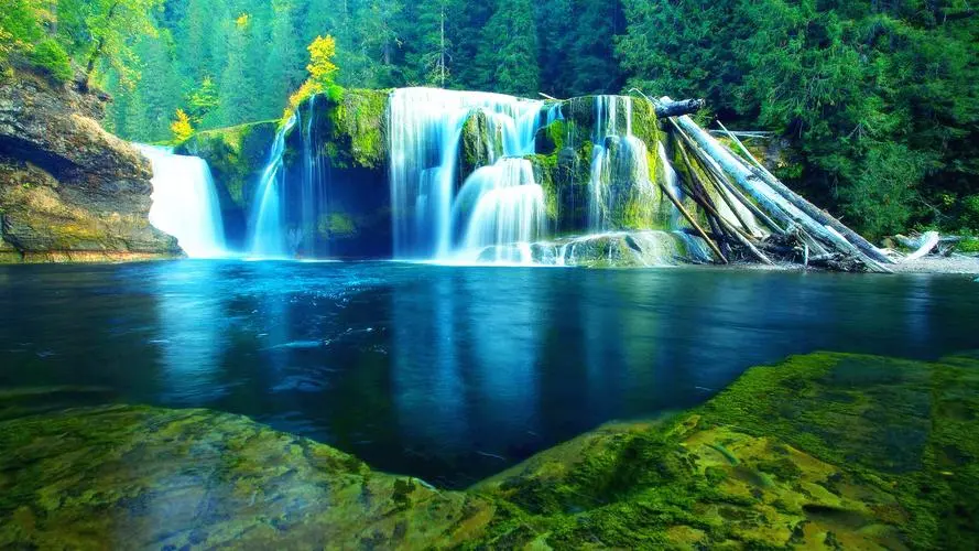 智能无人化绿色